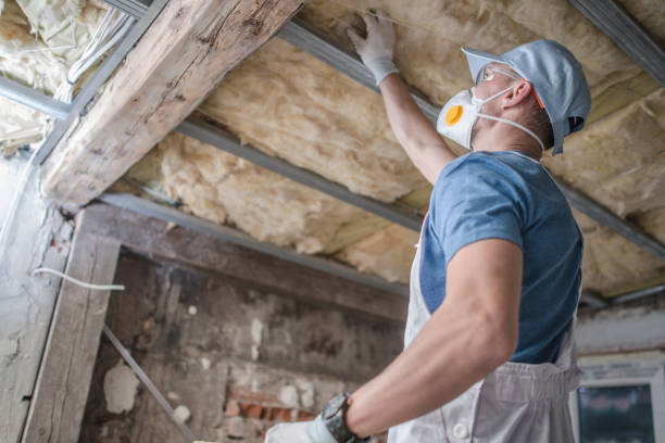 Best Insulation Contractor Near Me  in New Cumberland, WV